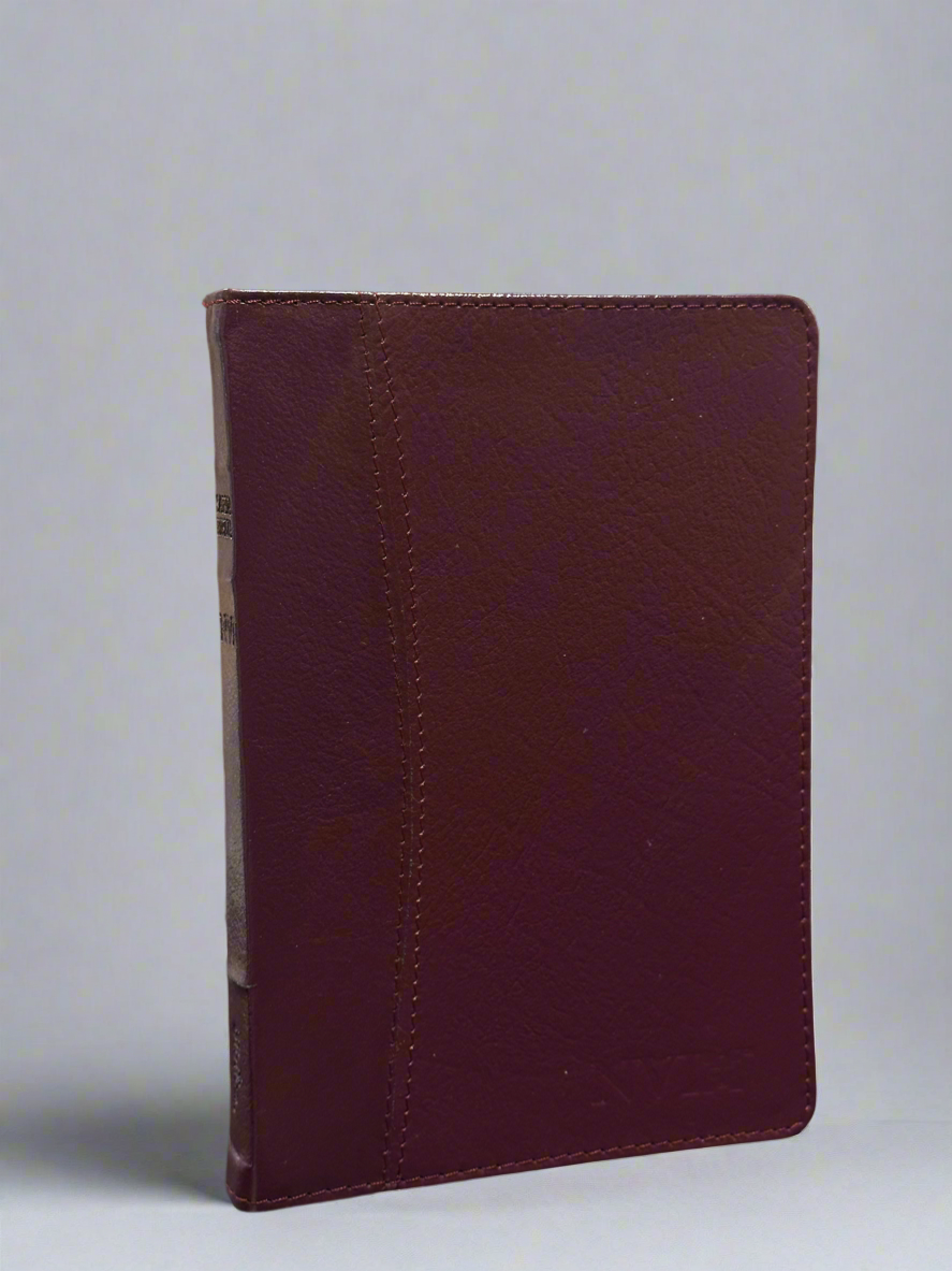 NVI Santa Biblia