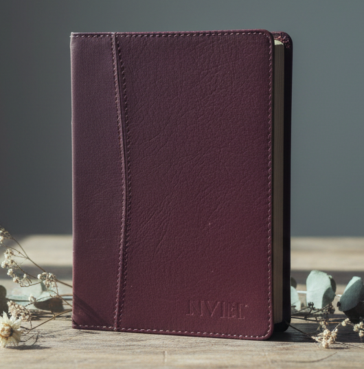Biblia: NVI Santa Biblia