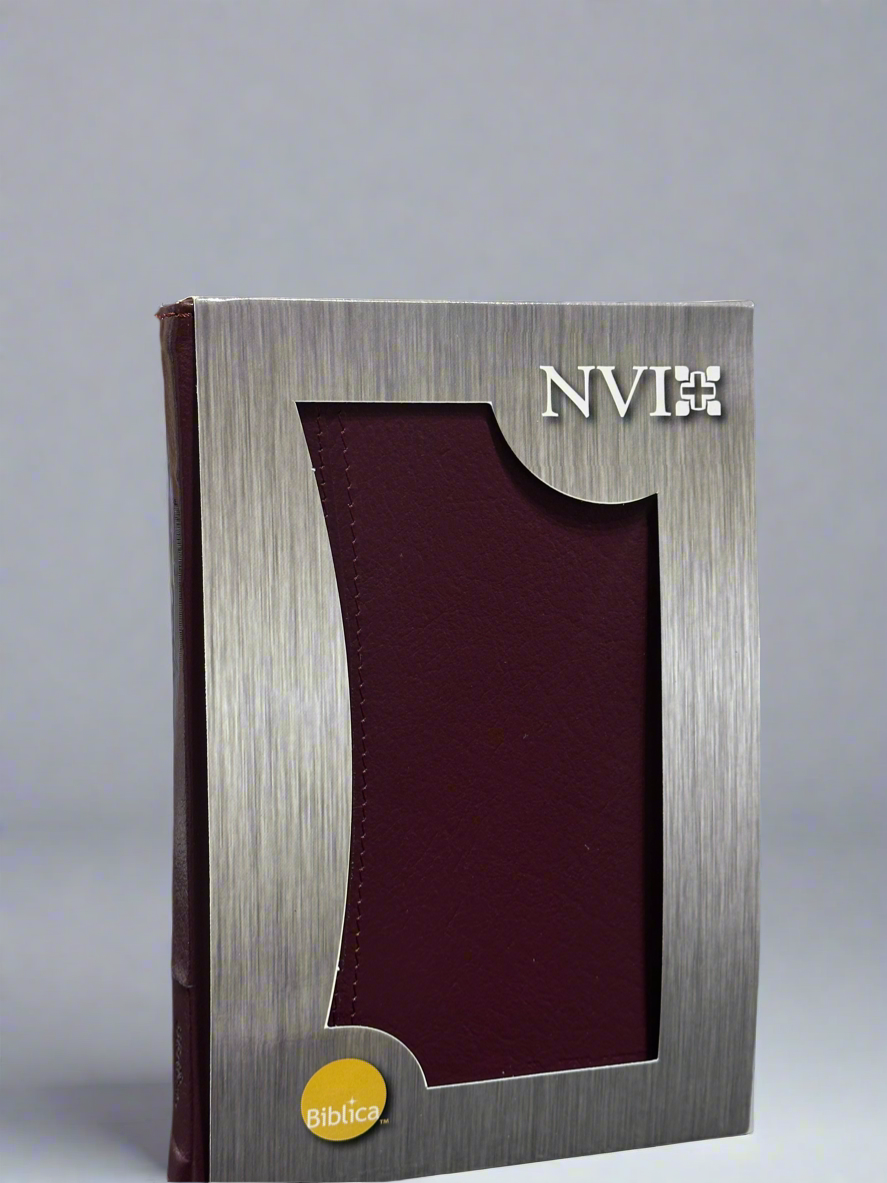 NVI Santa Biblia