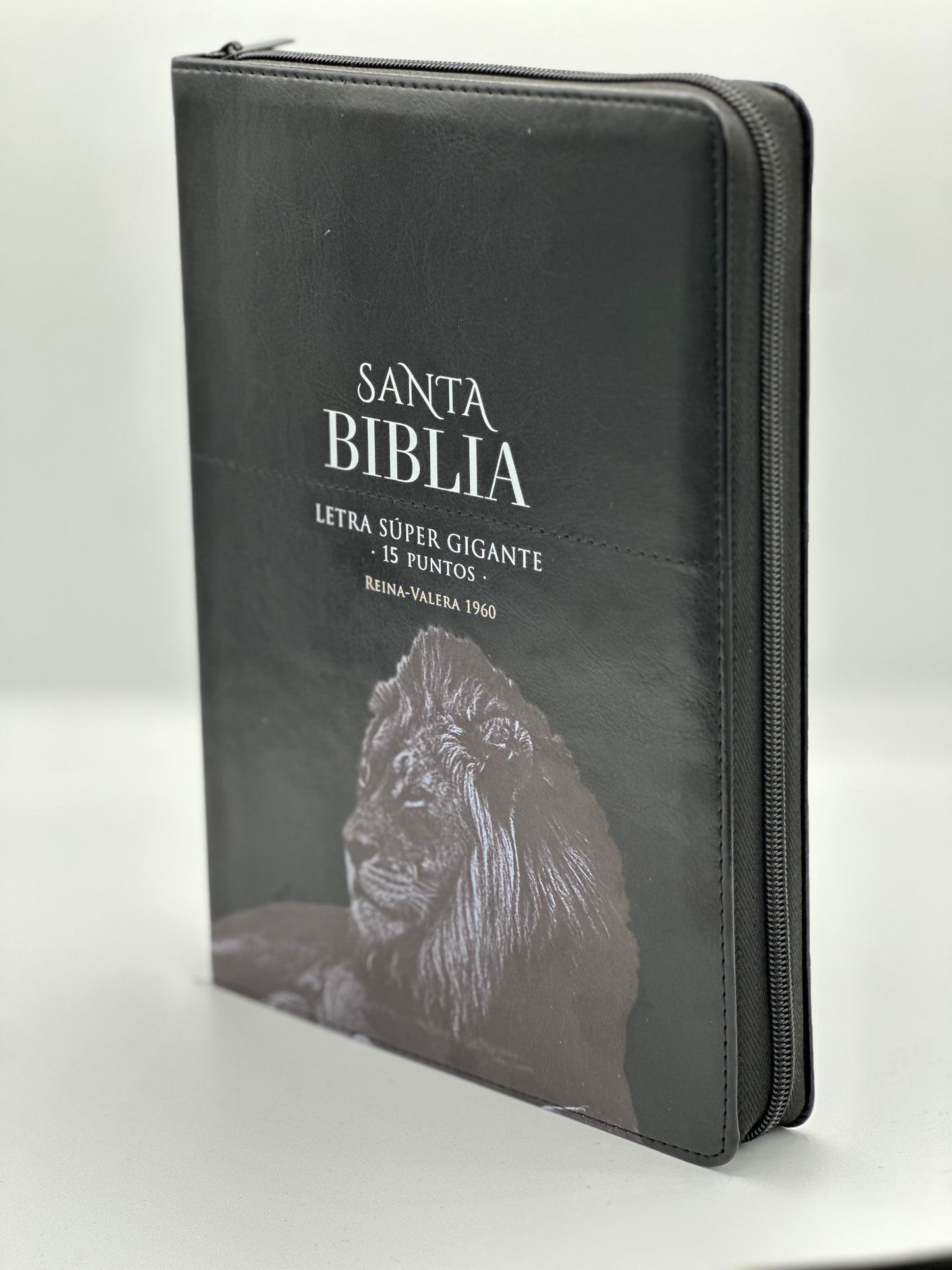 RV Santa Biblia Letra Súper Gigante