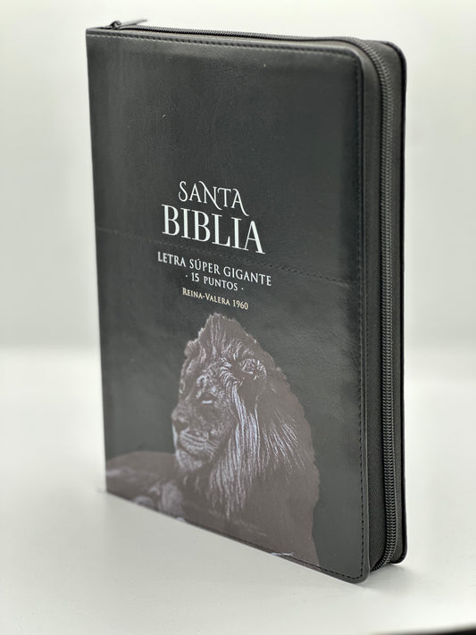 RV Santa Biblia Letra Súper Gigante