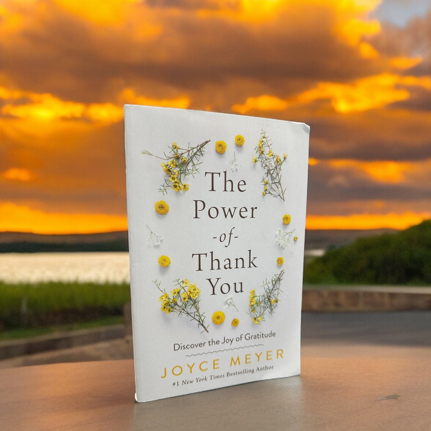 Book: The Power Of Thank You (Soft Cover)