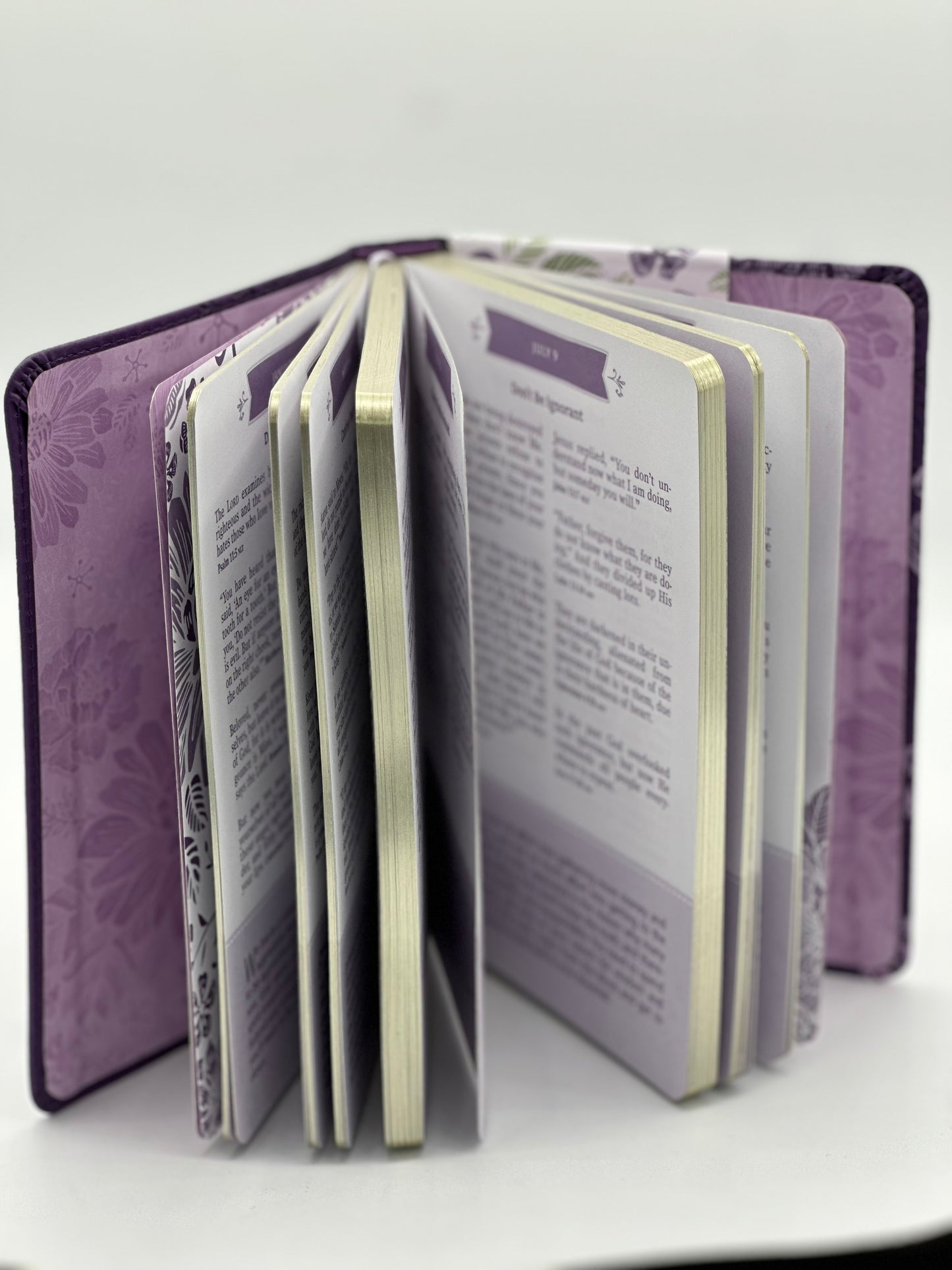The Pocket Bible Devotional for Girls