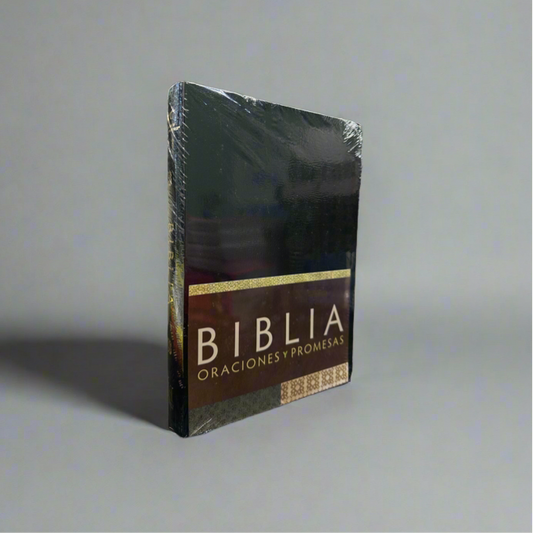 Biblia Oraciones Y Promesas
