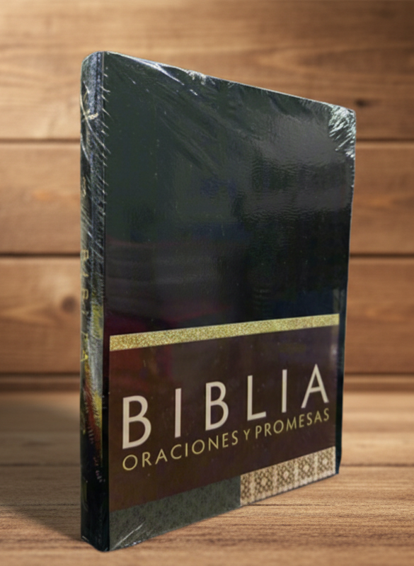 Biblia Oraciones Y Promesas
