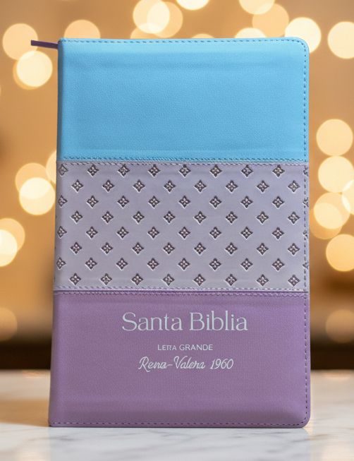 RV 1960 Santa Biblia