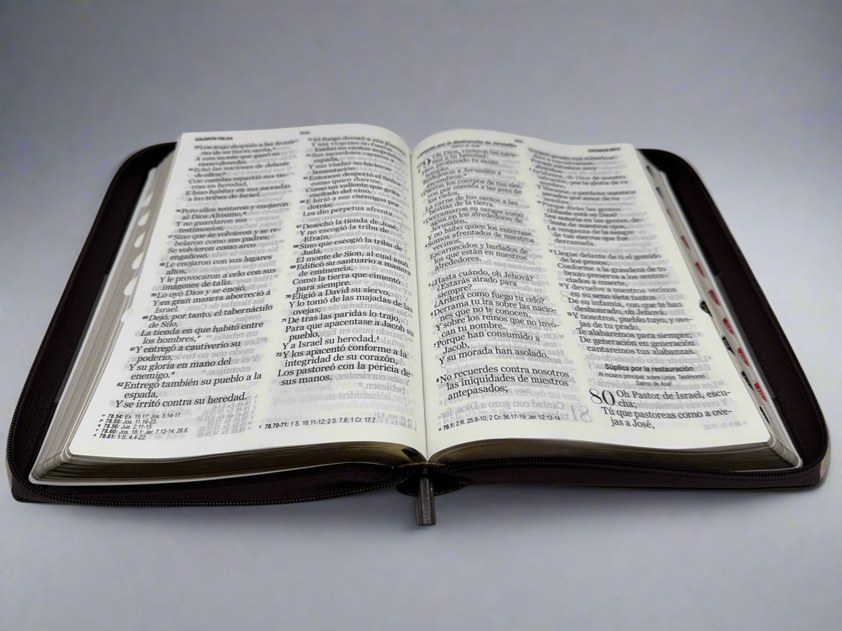 NVI Santa Biblia