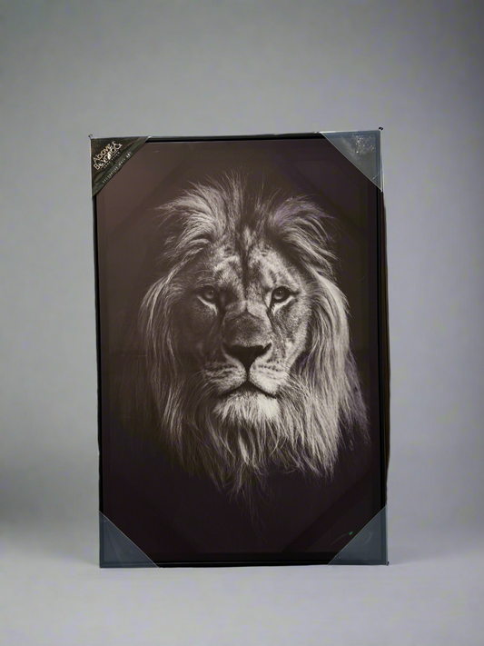 Lion Frame 3