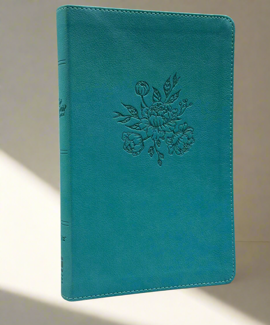 The busy Mom’s Bible