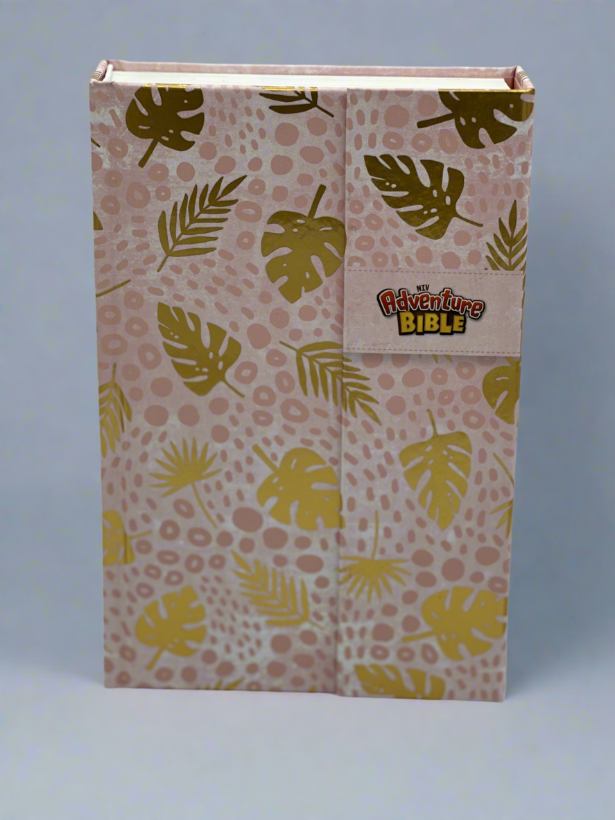 NIV Adventure Bible