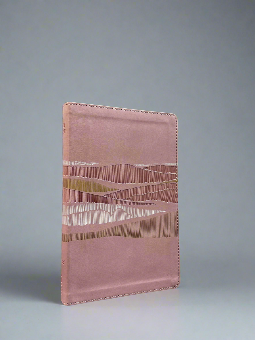 NIV Thin line Bible