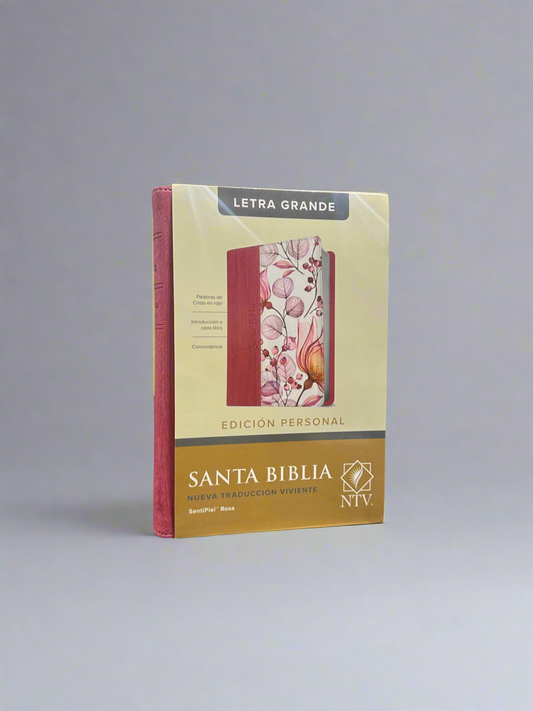 Santa Biblia Letra Grande
