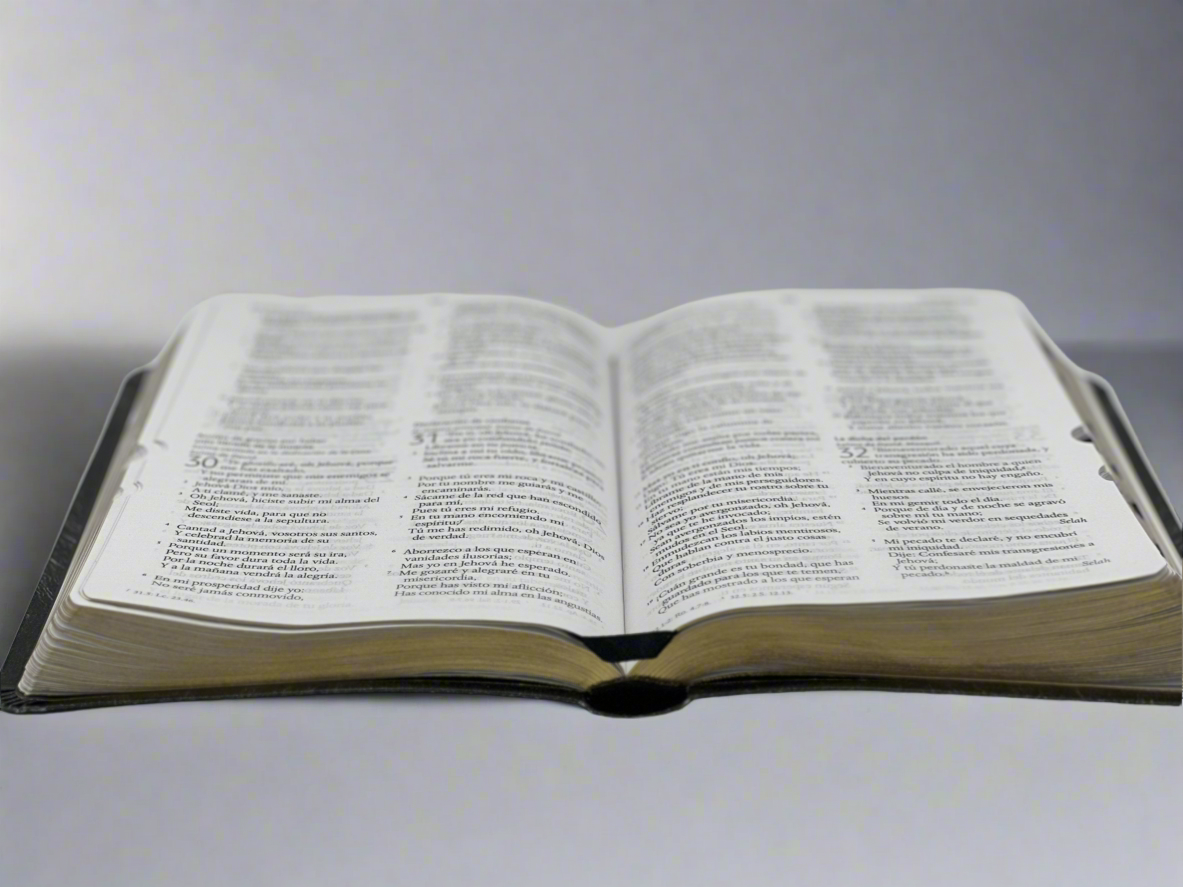 Santa Biblia Letra Gigante RV 1960