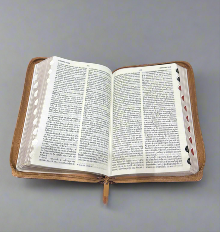 RV 1960 Santa Biblia