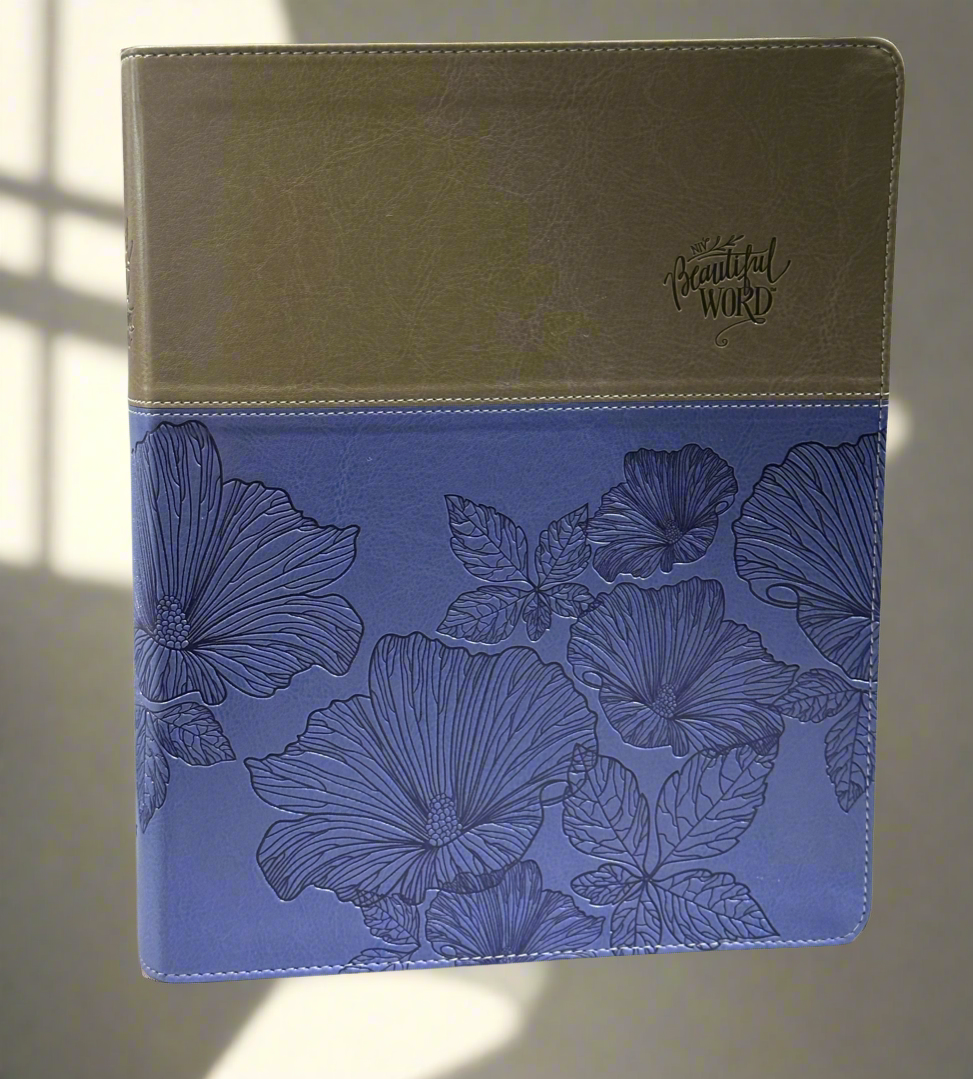 NIV Beautiful Word Coloring Bible