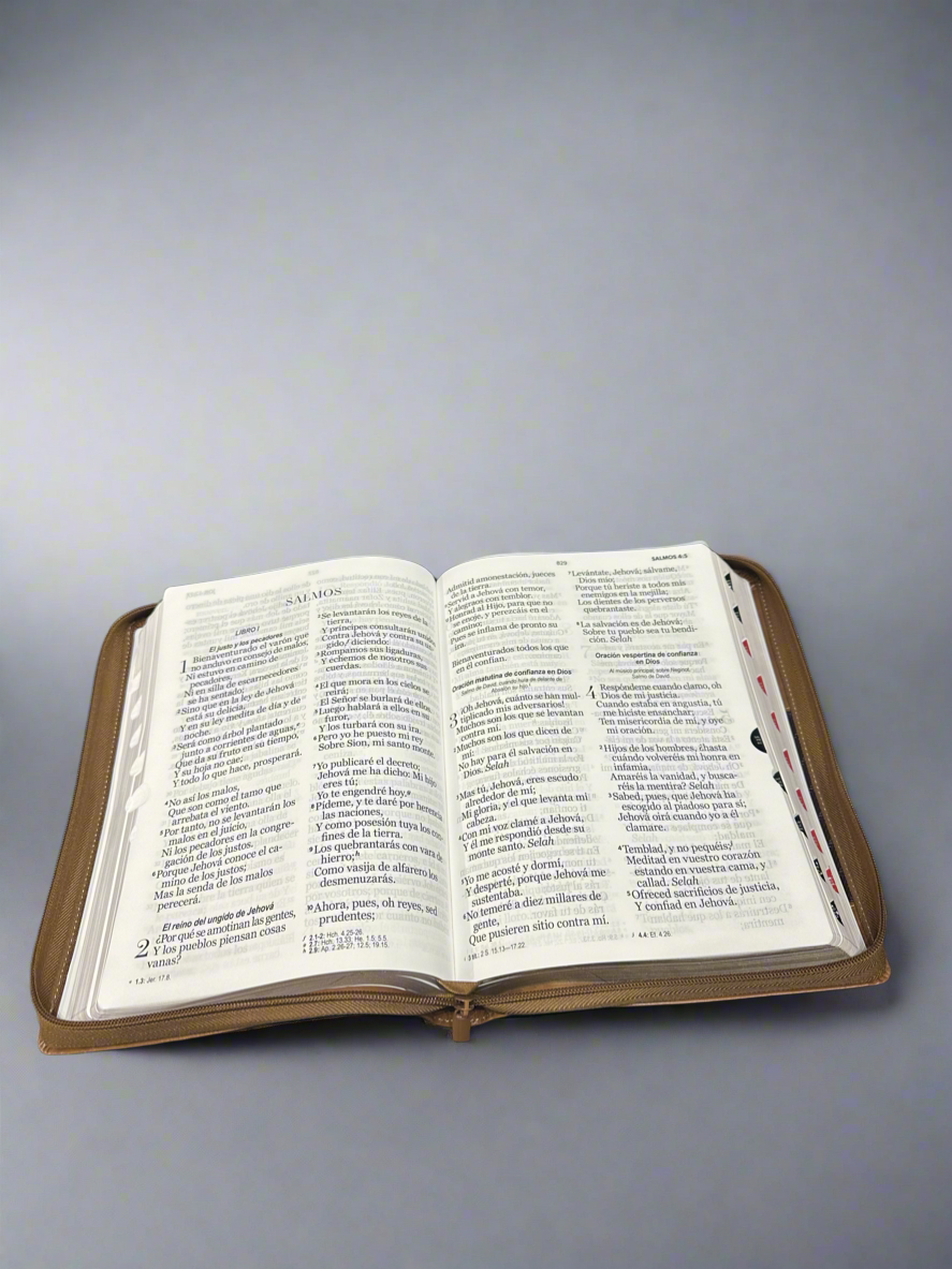 RVR 1960 Santa Biblia