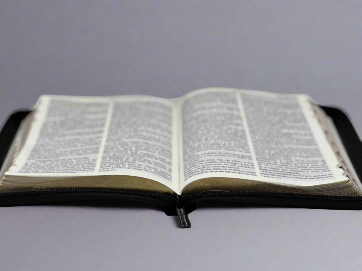 The Study Bible first women