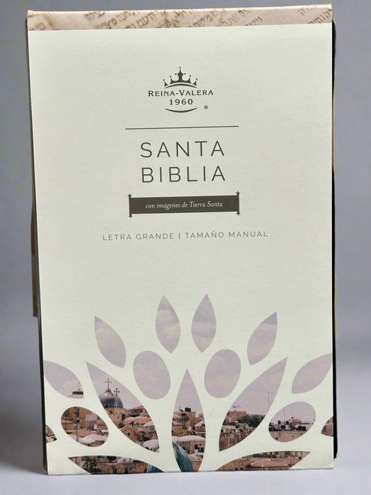 Santa Biblia Letra Grande
