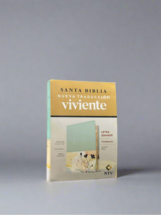 Santa Biblia Letra Grande