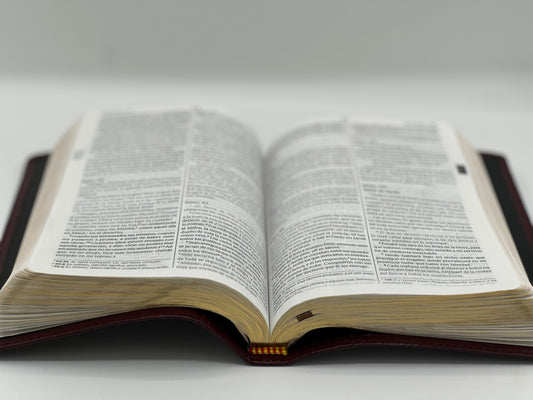 NVI Santa Biblia