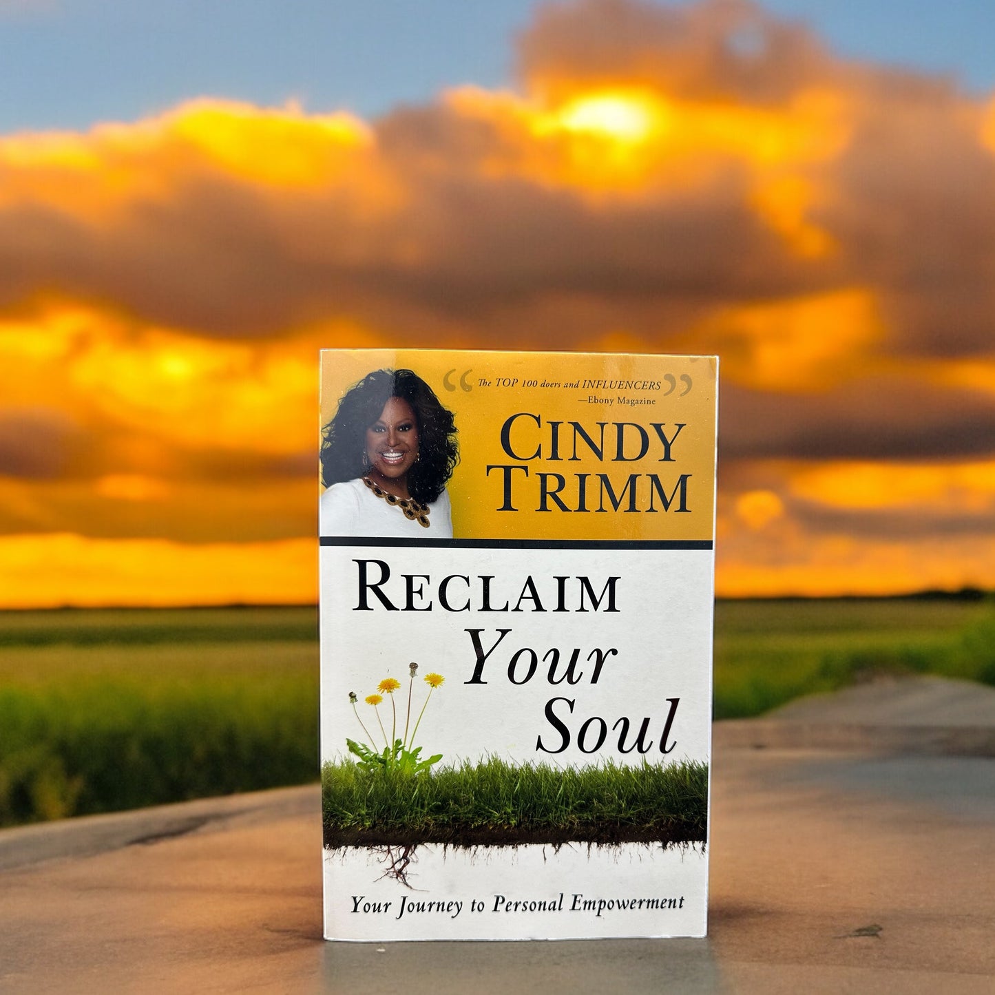 Book: Reclaim Your Soul