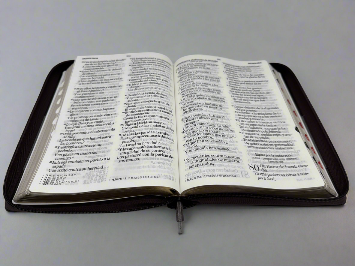 Santa Biblia