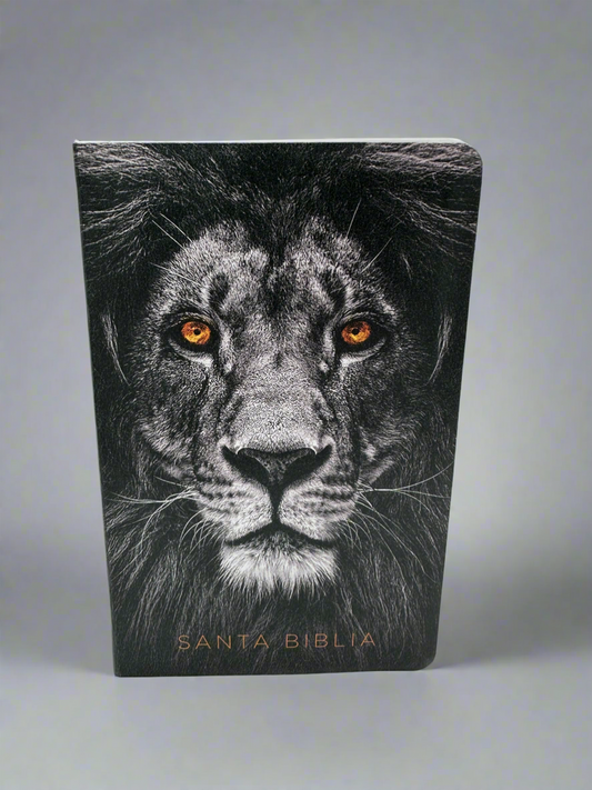 Santa Biblia