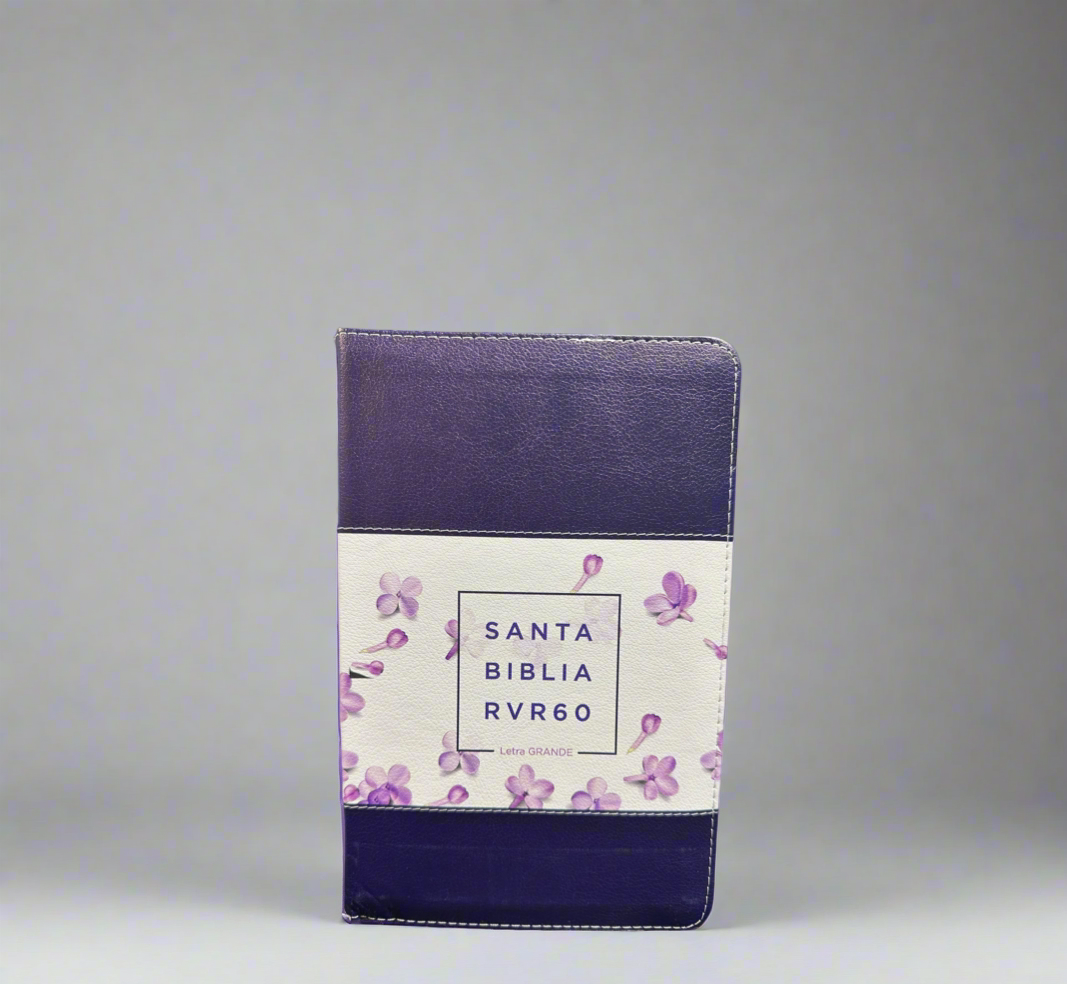 RV 1960 Santa Biblia