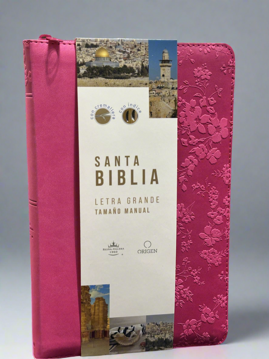 Santa Biblia Letra Grande
