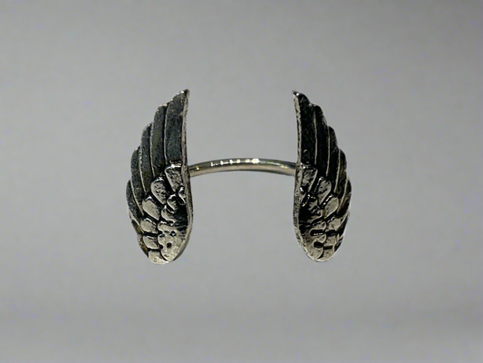 Silver Angel Wings