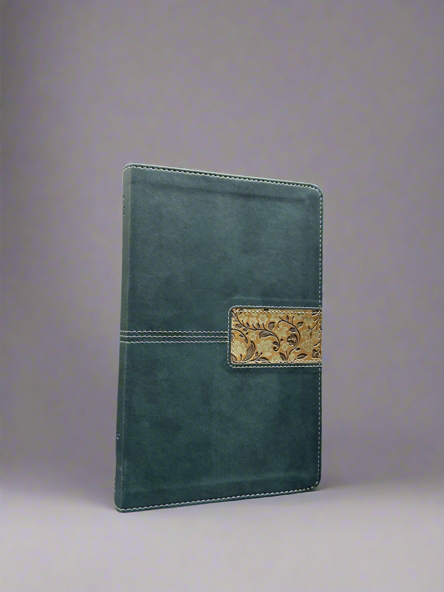 NIV Thin line Bible