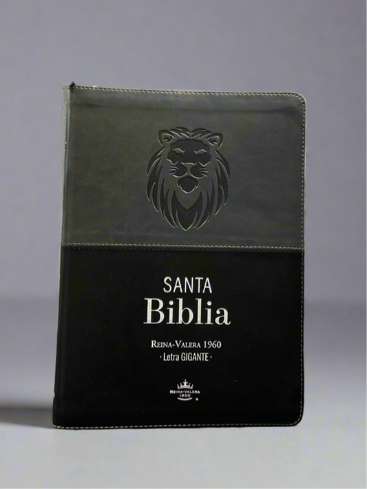 RV Santa Biblia Letra Gigante