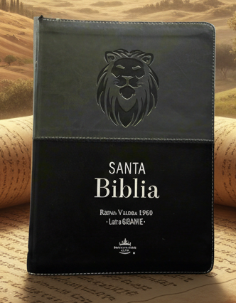 RV Santa Biblia Letra Gigante