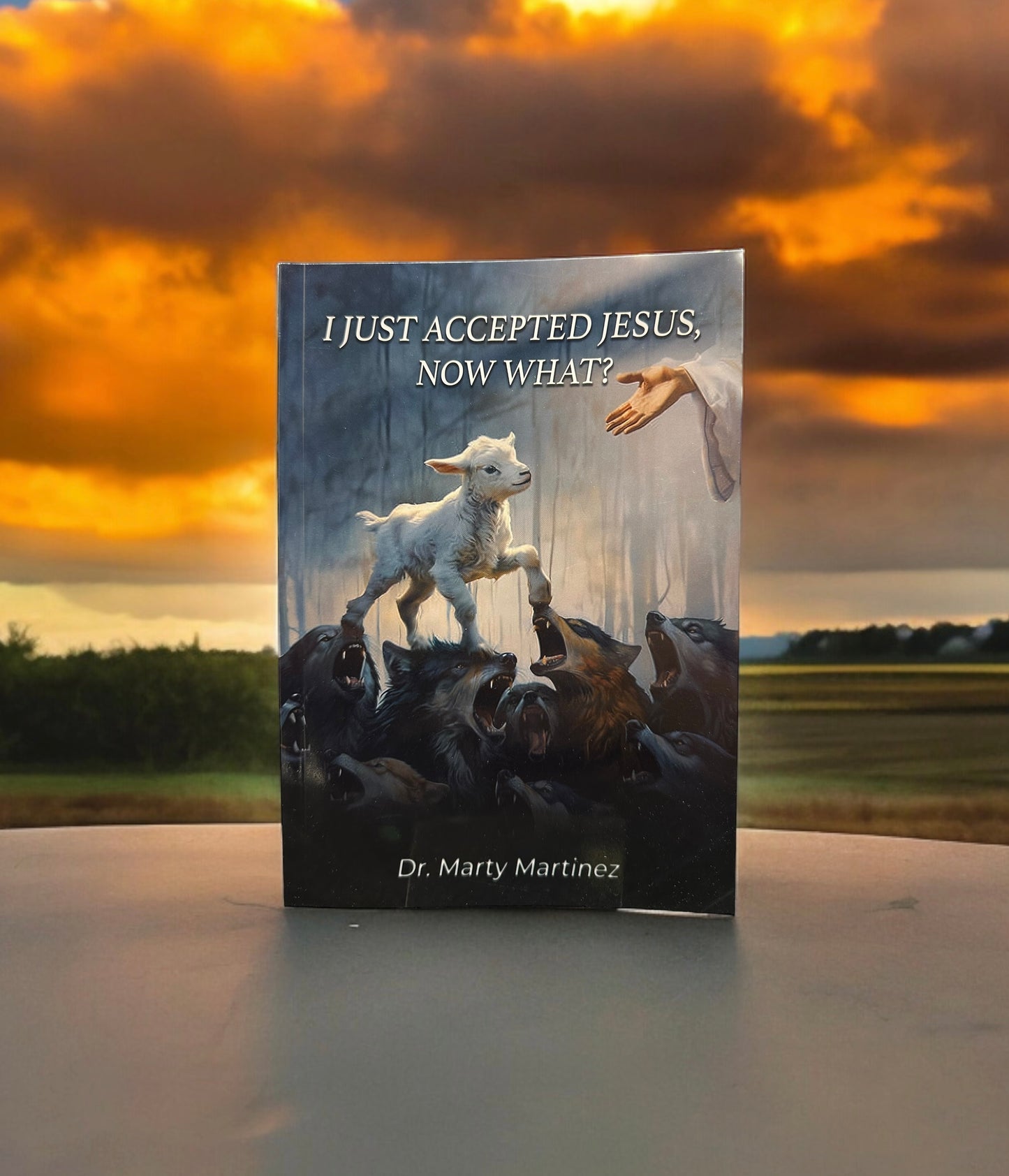 I Just Accepted Jesus, Now What?