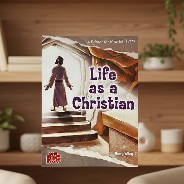 Kids books: Life as a Christian
