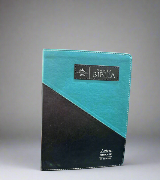 RV 1960 Santa Biblia
