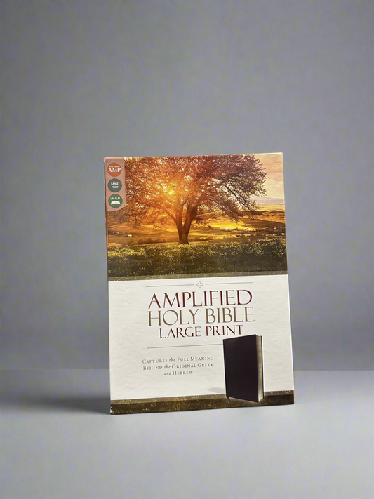 Amplified Holy Bible Large Print