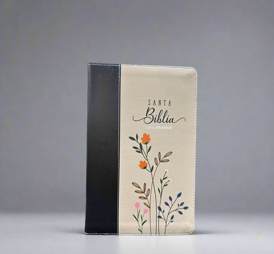 RV 1960 Santa Biblia