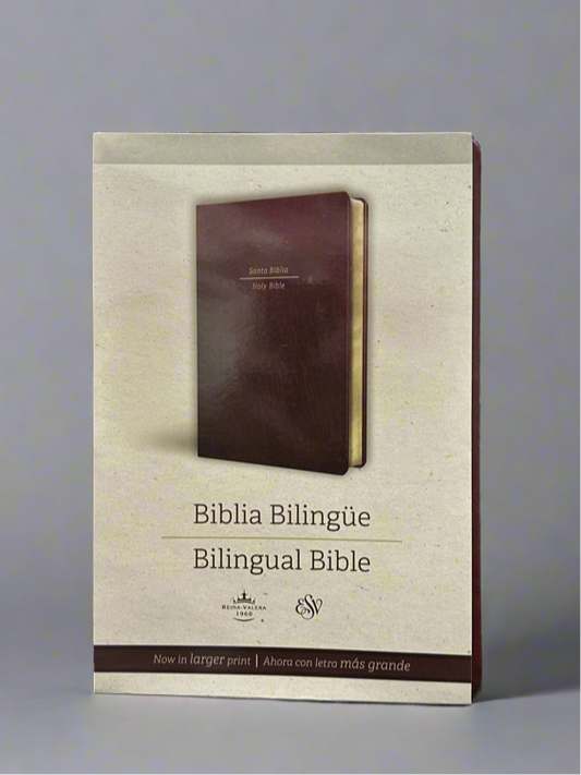 bilingual Bible