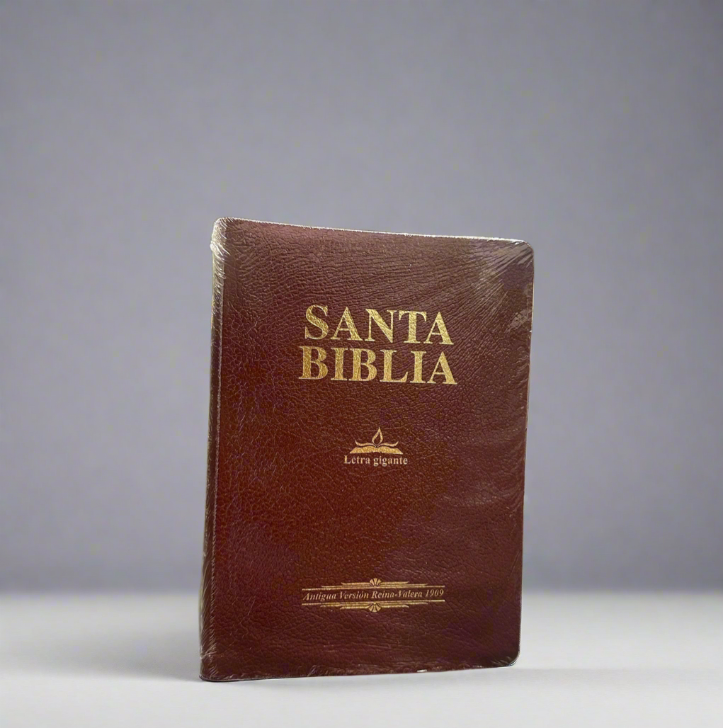 RV 1960 Burgundy Santa Biblia Letra Gigante