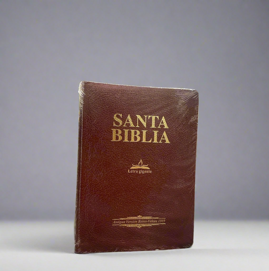 RV 1960 Burgundy Santa Biblia Letra Gigante
