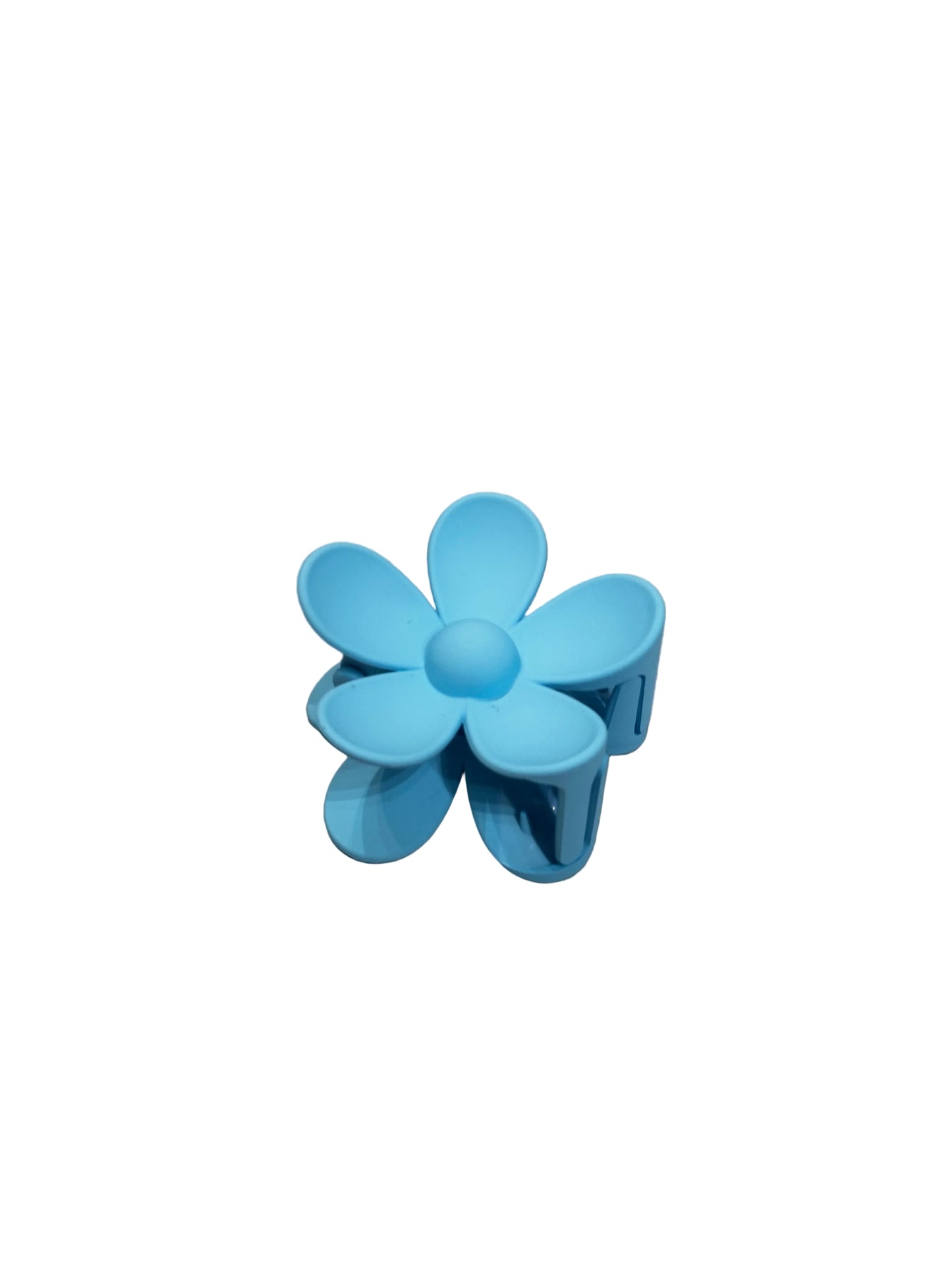 HairClips; Large