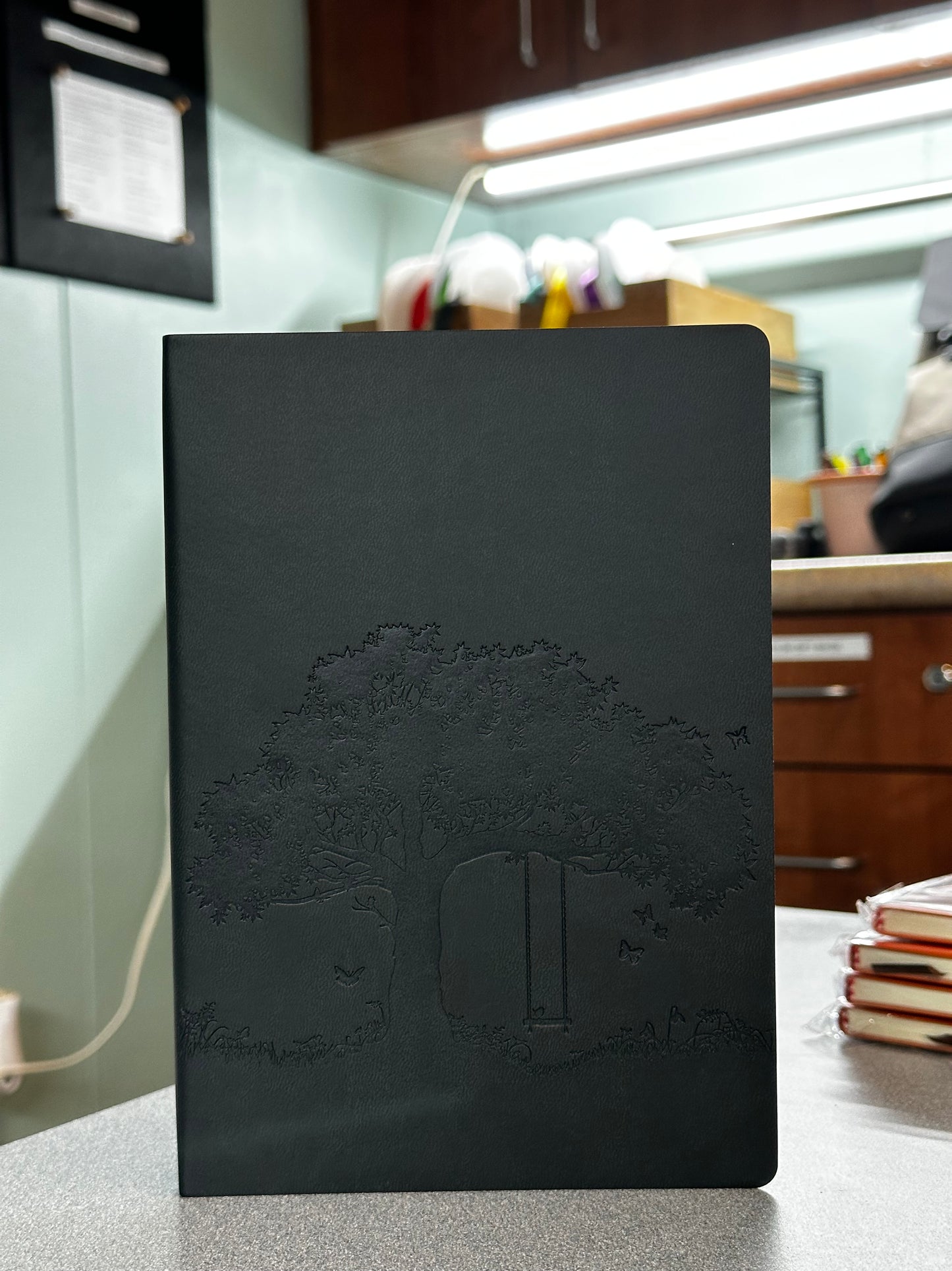 Notebooks: Multi-colored