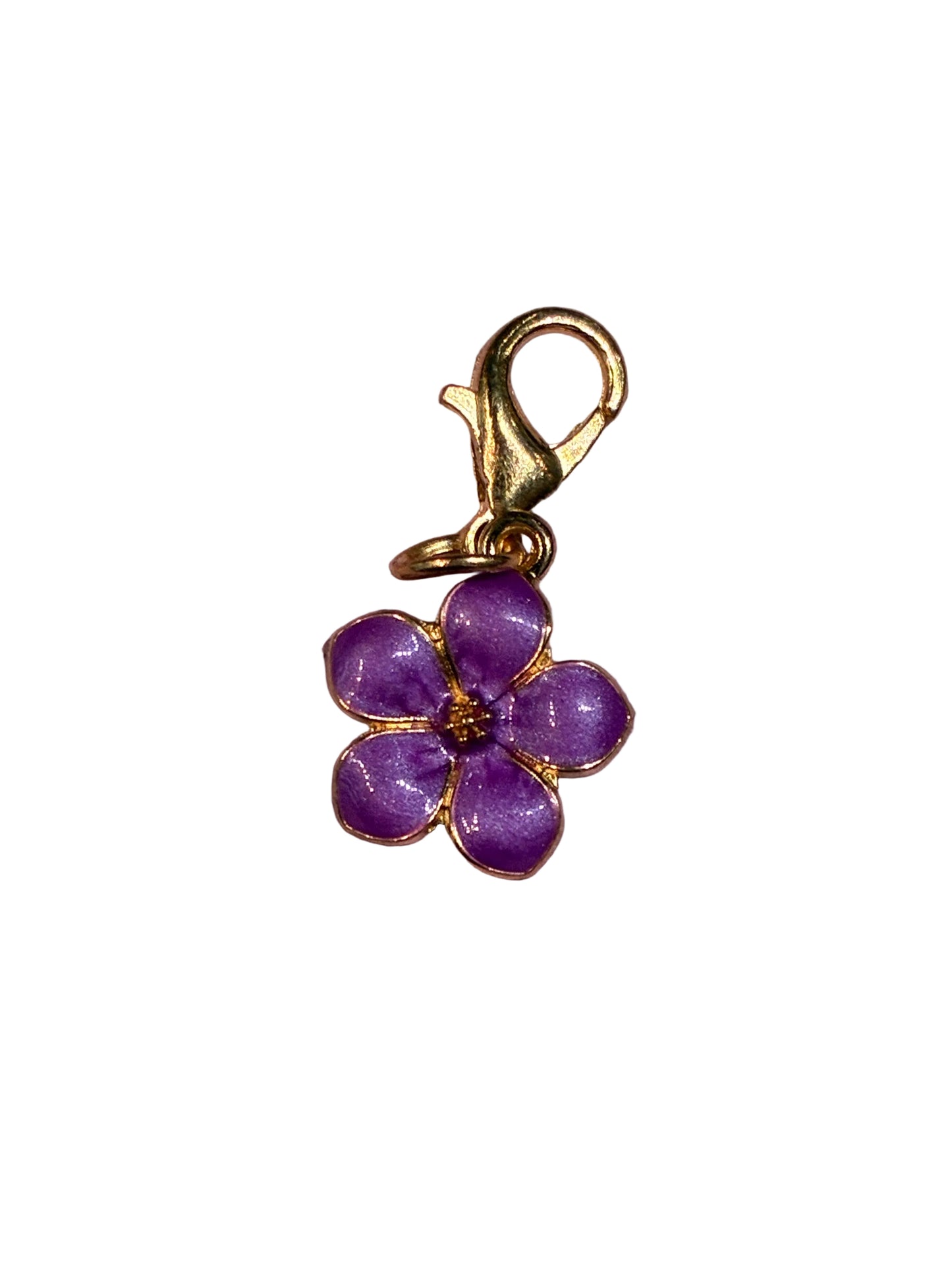 Keychain Charm