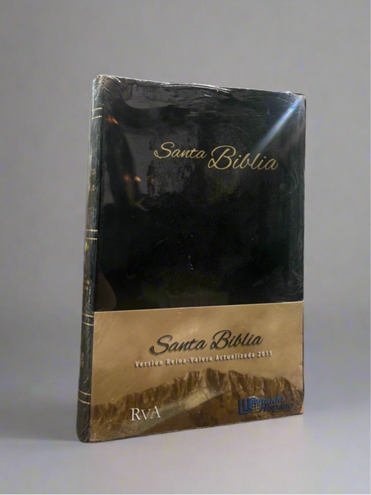 RVA Santa Biblia