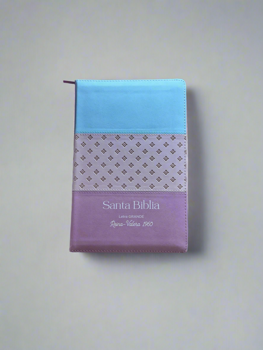 RV 1960 Santa Biblia