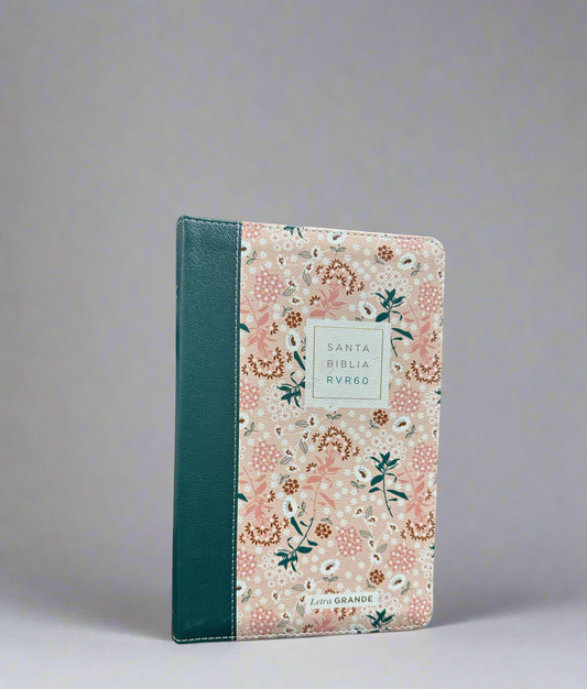 RVR60 Santa Biblia