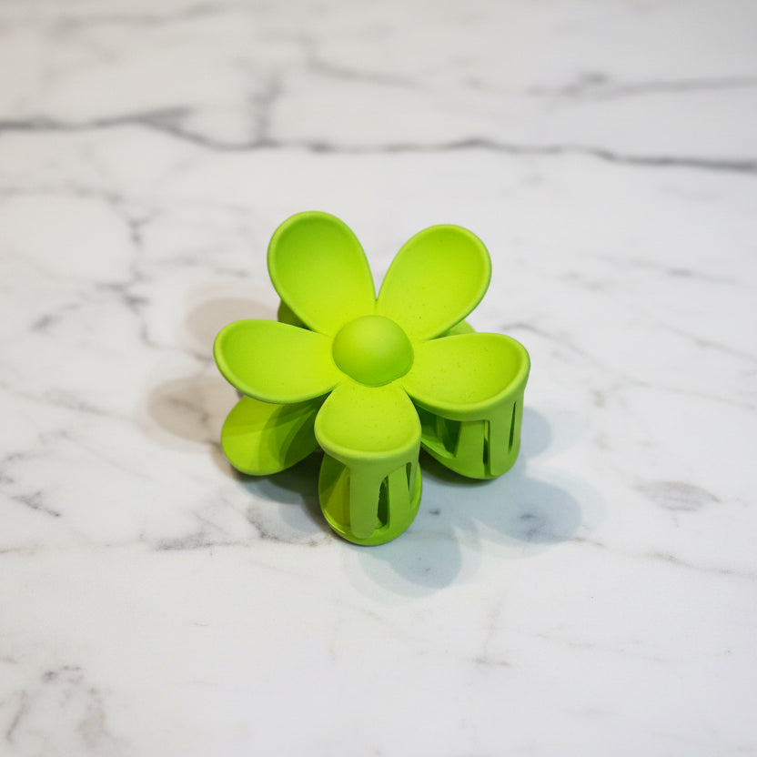 HairClips; Large