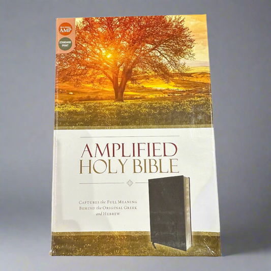 Amplified Holy Bible