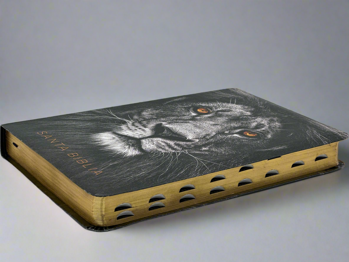 Santa Biblia